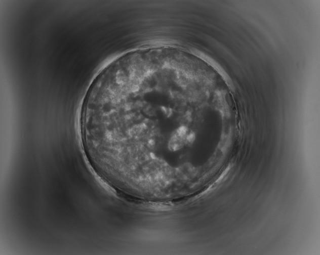 X0000086731055200705111611