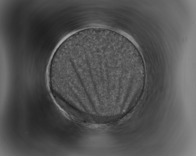 X0000086731056200705111611