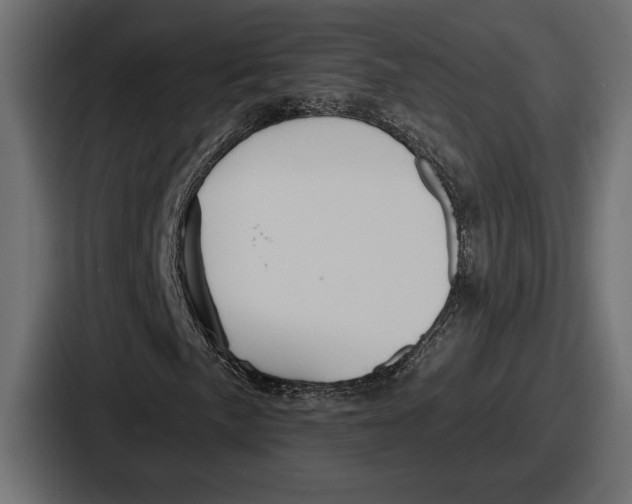X0000086731057200705111610
