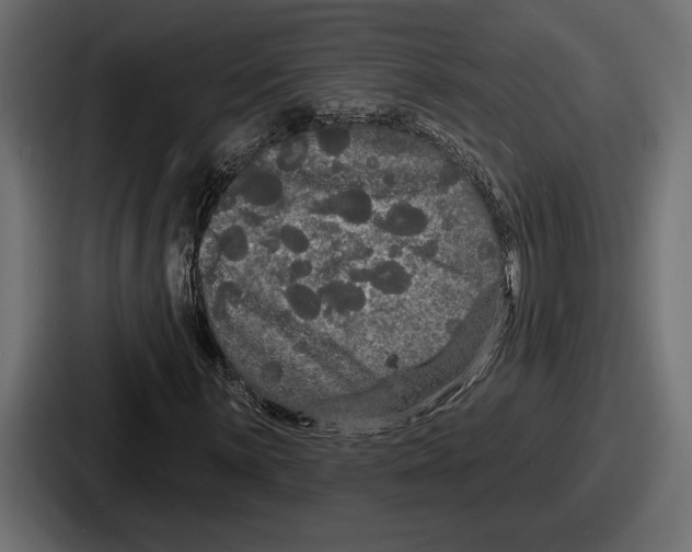 X0000086731059200705111610
