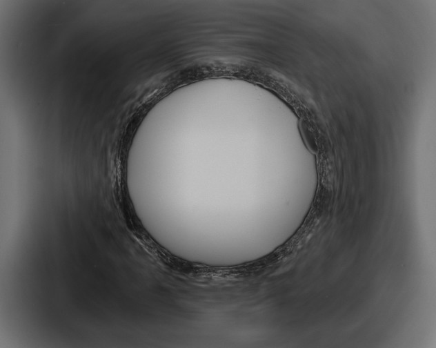 X0000086731061200705111610