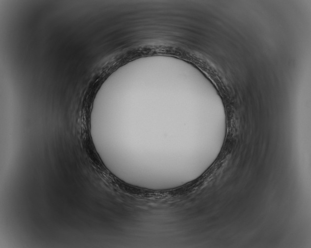 X0000086731062200705111610