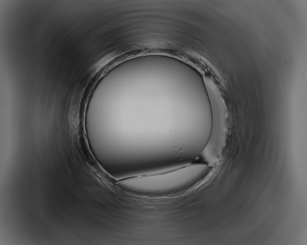 X0000086731065200705111610
