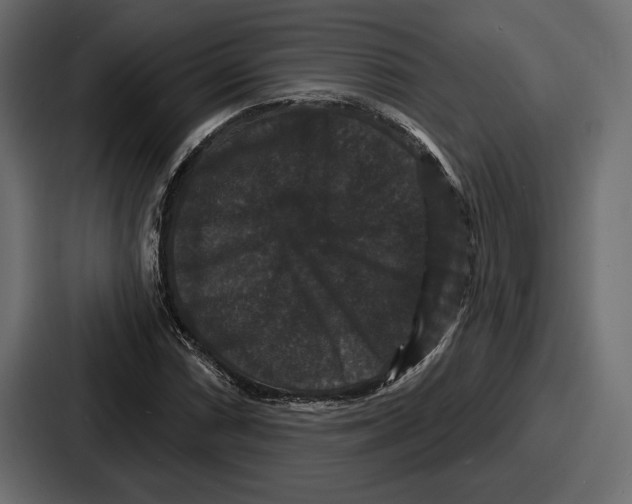 X0000086731066200705111610