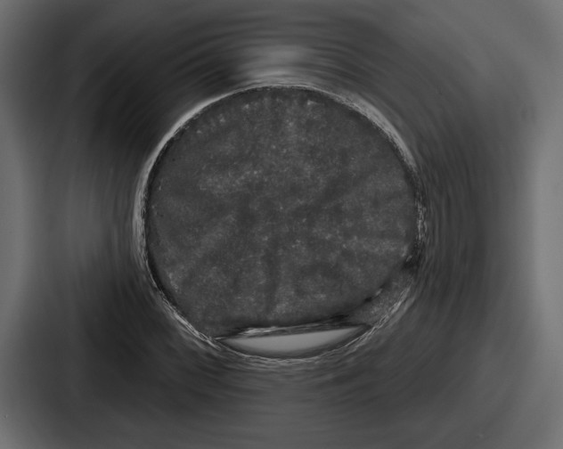 X0000086731068200705111610