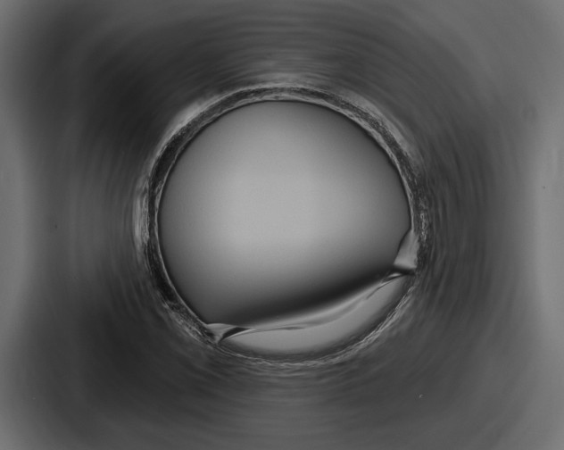 X0000086731069200705111610