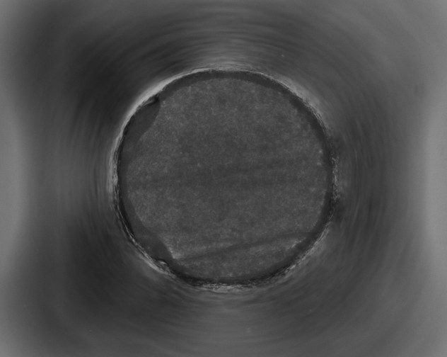 X0000086731070200705111610