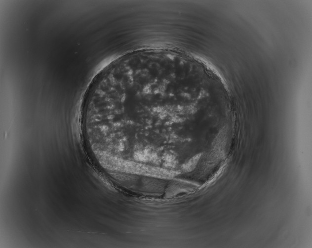 X0000086731071200705111610