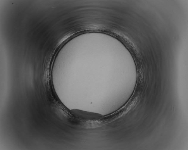 X0000086731073200705111610