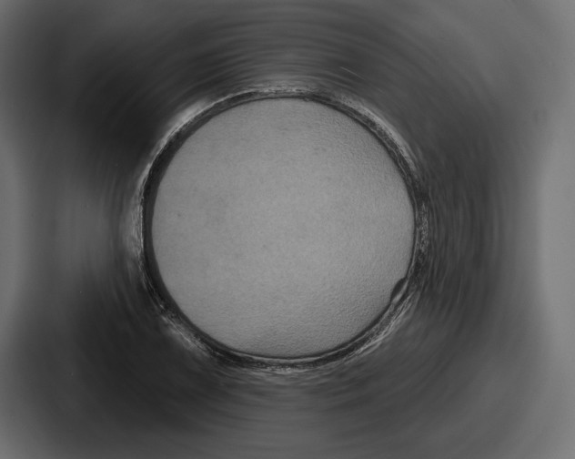 X0000086731075200705111610