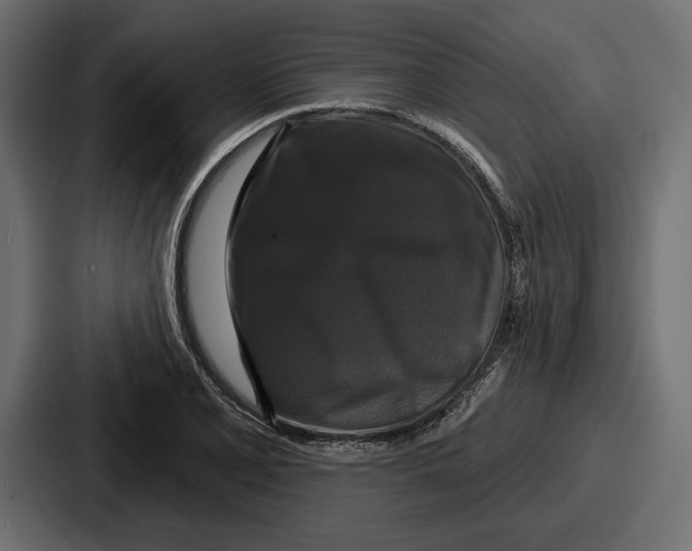 X0000086731077200705111610