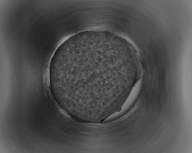 X0000086731079200705111610