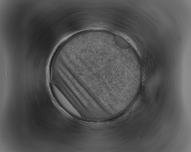 X0000086731080200705111610