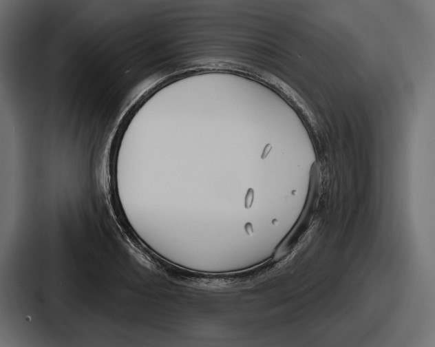 X0000086731082200705111610