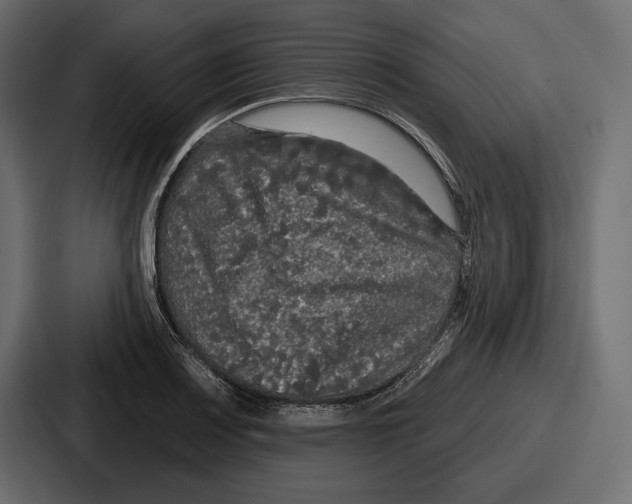 X0000086731083200705111610