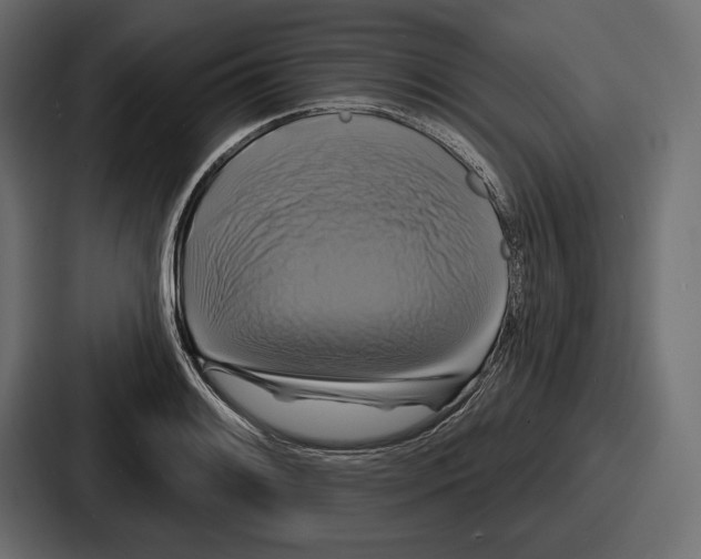 X0000086731084200705111610