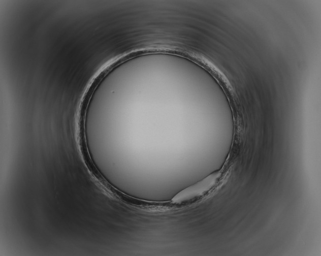 X0000086731085200705111610