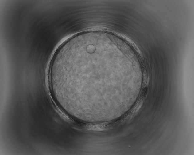 X0000086731086200705111610