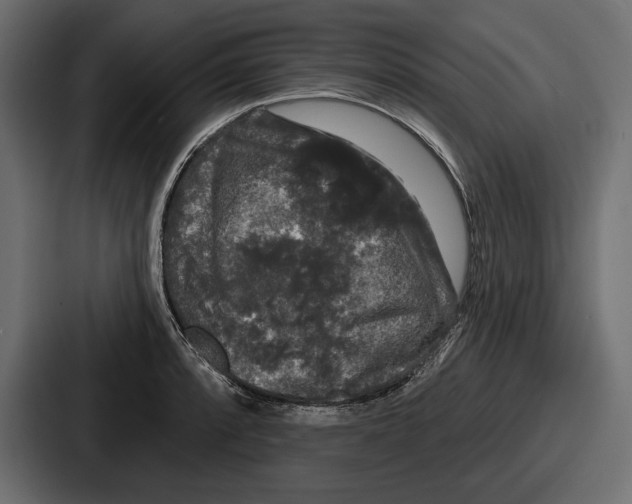 X0000086731088200705111610