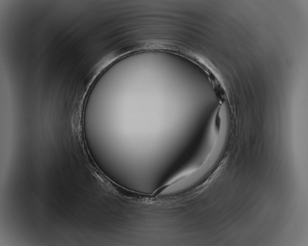 X0000086731089200705111610