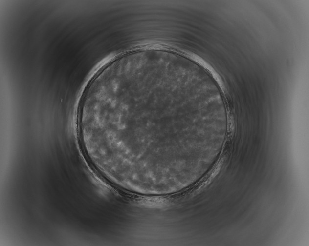 X0000086731090200705111610