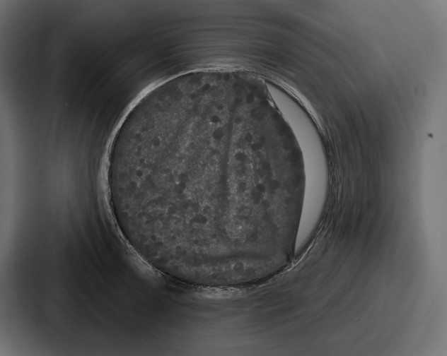 X0000086731091200705111610