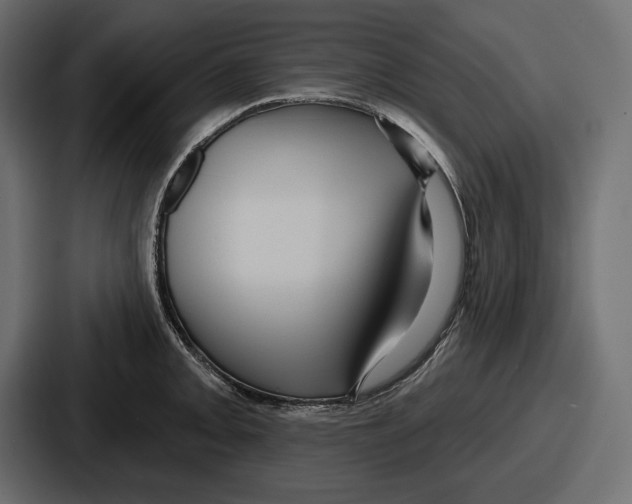 X0000086731093200705111610