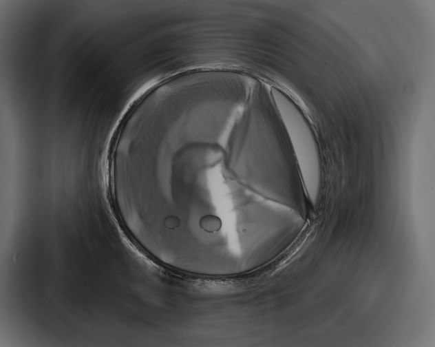 X0000086731095200705111610