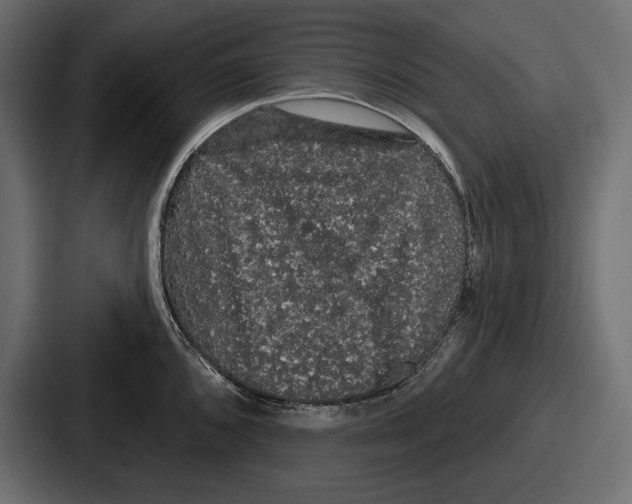 X0000086731096200705111610