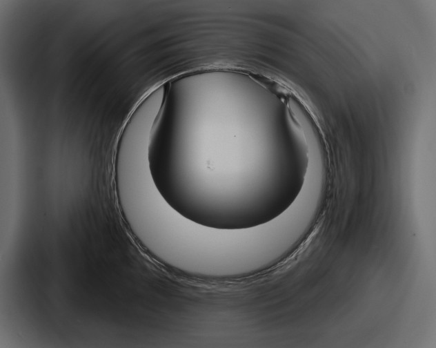 X0000086731097200705111610