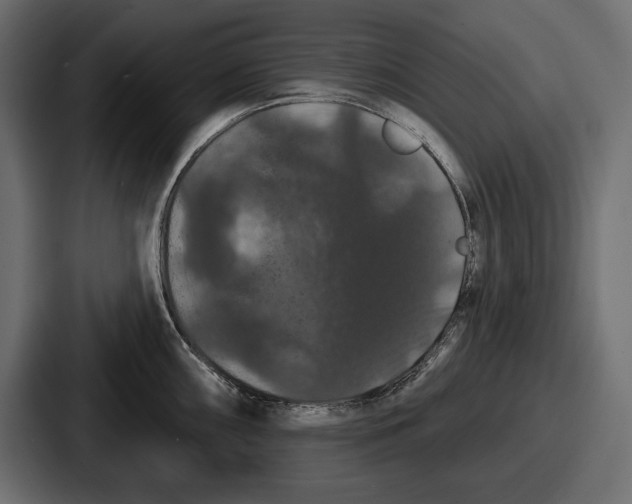 X0000086731098200705111610