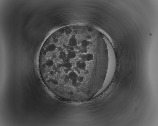 X0000086731099200705111610