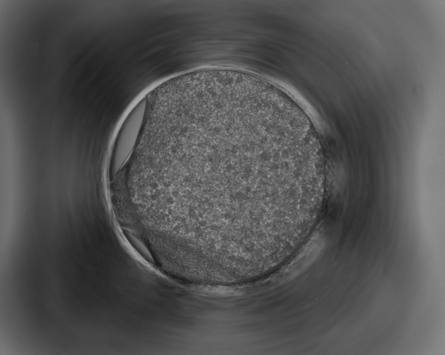 X0000086731100200705111610