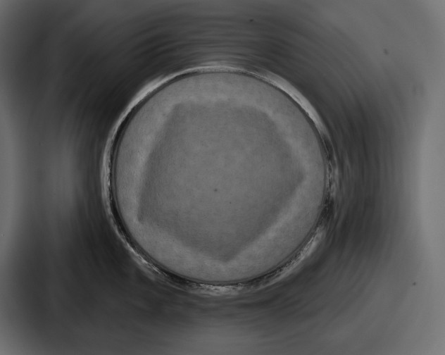 X0000086731101200705111610