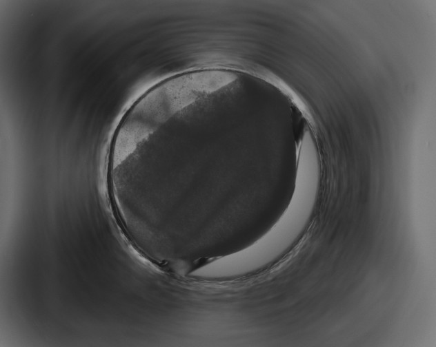 X0000086731102200705111610