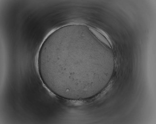 X0000086731103200705111610