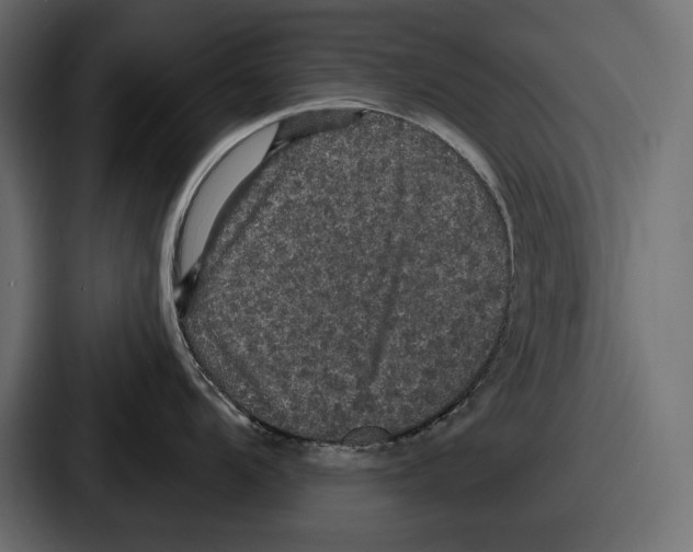 X0000086731104200705111610