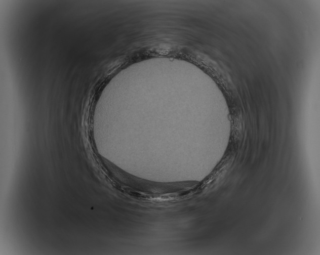 X0000086731105200705111609