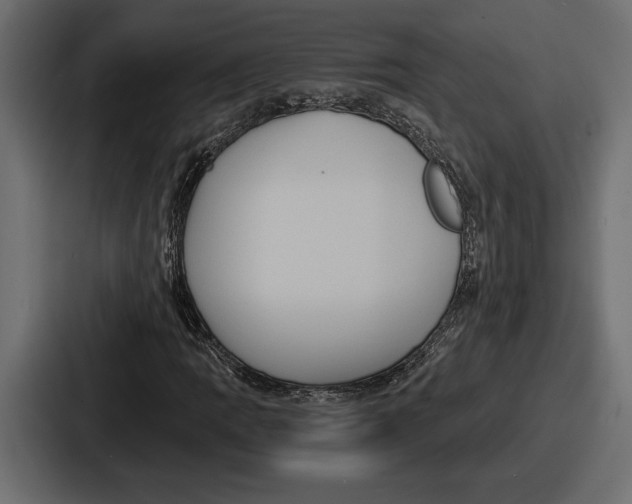 X0000086731109200705111609