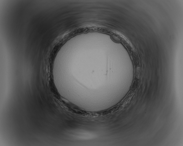 X0000086731111200705111609