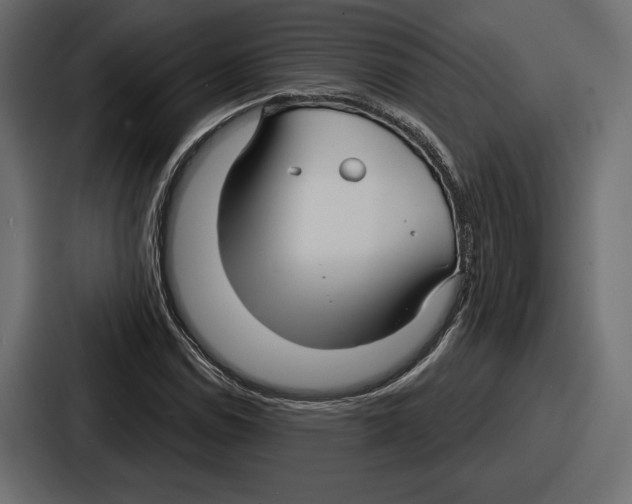 X0000086731114200705111609