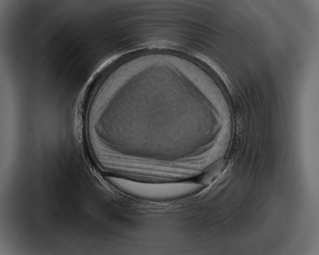X0000086731115200705111609