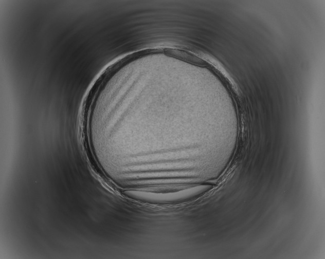 X0000086731116200705111609