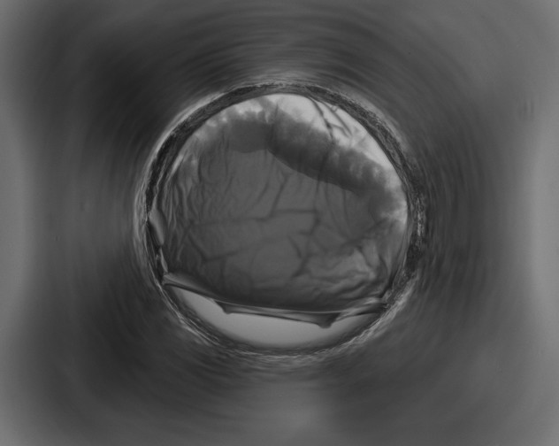 X0000086731117200705111609