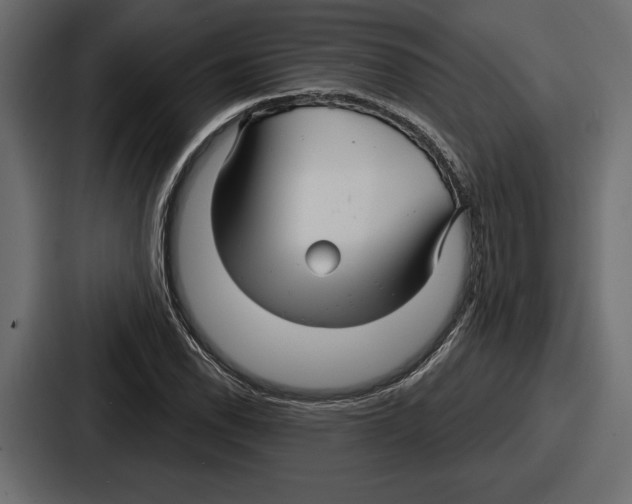 X0000086731118200705111609