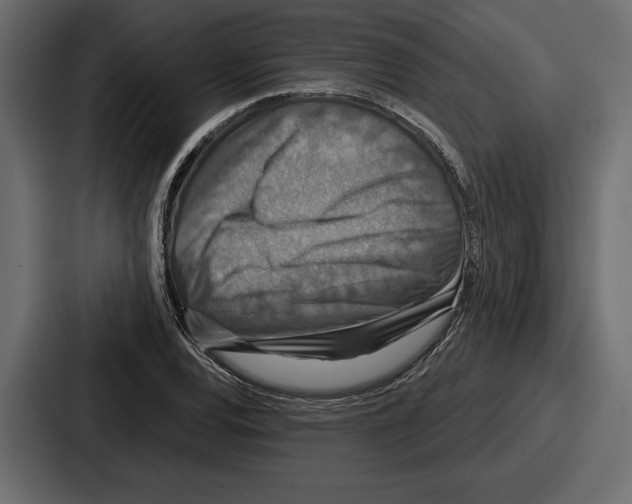 X0000086731120200705111609