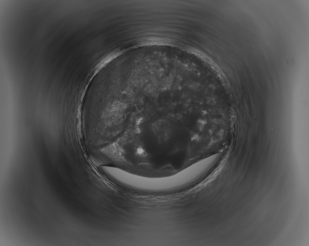 X0000086731121200705111609