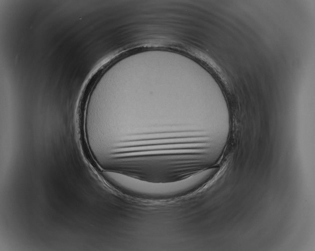 X0000086731122200705111609