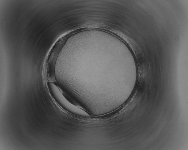 X0000086731123200705111609