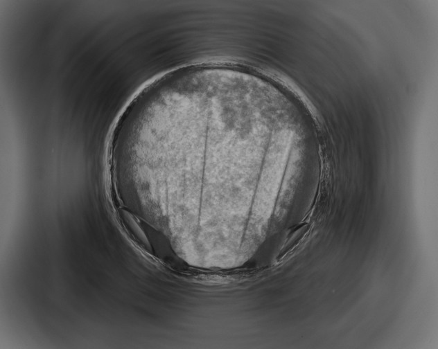 X0000086731124200705111609